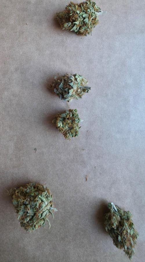 Ice cream haze. Week 16