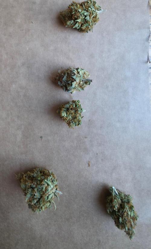 Ice cream haze. Week 16