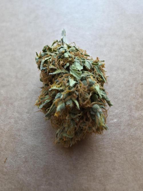 Ice cream haze. Week 16