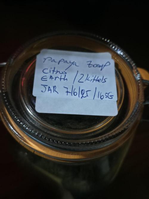 Papaya Zoap Auto. Week 16