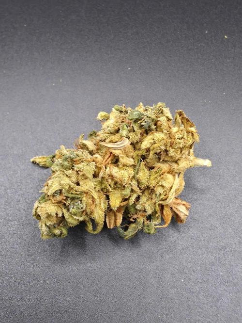 Papaya Zoap Auto. Week 16