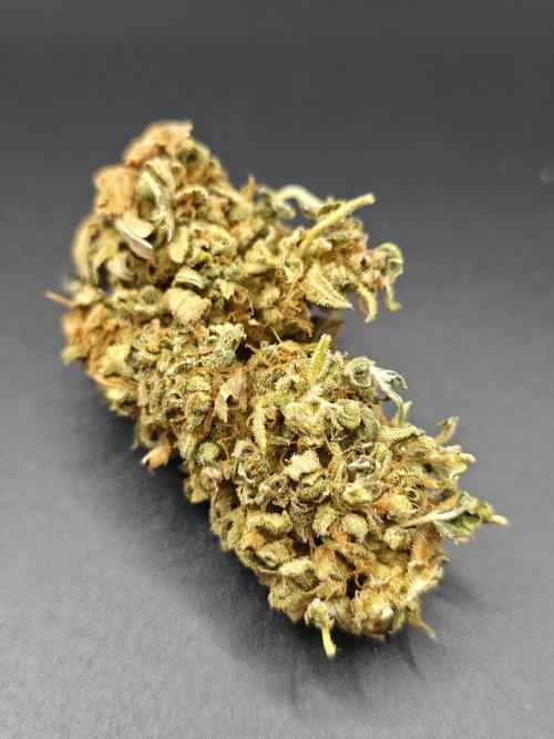 Papaya Zoap Auto. Week 16