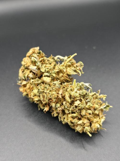 Papaya Zoap Auto. Week 16