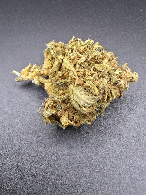 [2nd Run] NYC diesel automatic. Week 14