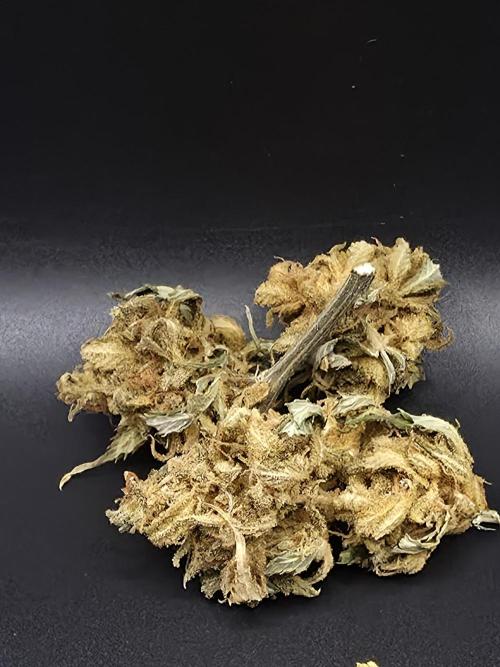 [2nd Run] NYC diesel automatic. Week 14