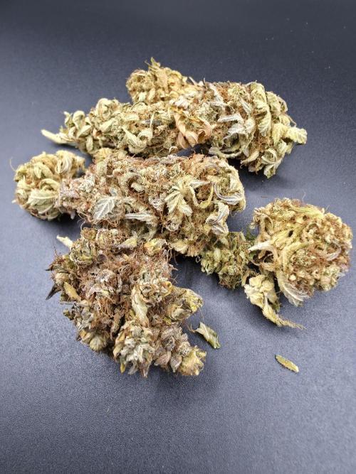 [2nd Run] Lemon haze auto. Week 15