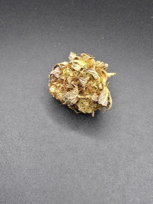 [2nd Run] Lemon haze auto. Week 15