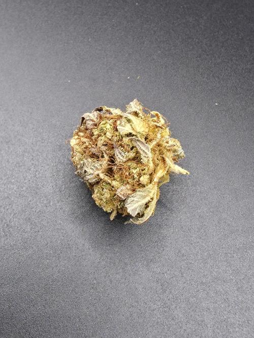 [2nd Run] Lemon haze auto. Week 15