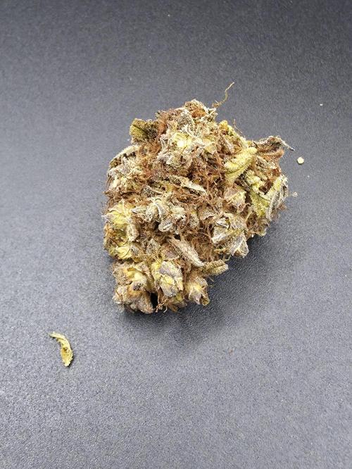 [2nd Run] Lemon haze auto. Week 15