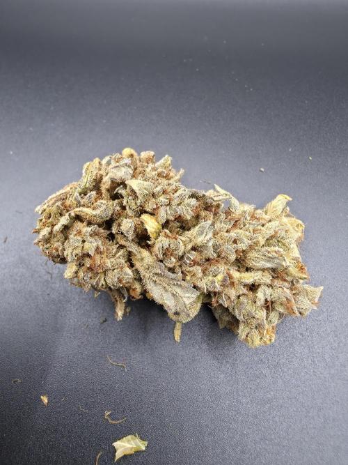 Sweet Mandarine Zkittlez XL Auto. Week 15 - trying light box