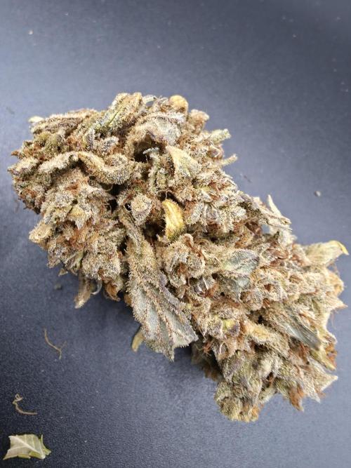 Sweet Mandarine Zkittlez XL Auto. Week 15 - trying light box