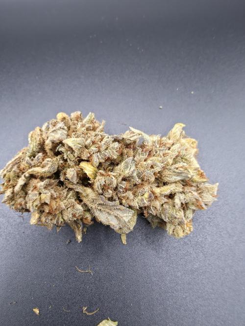 Sweet Mandarine Zkittlez XL Auto. Week 15 - trying light box