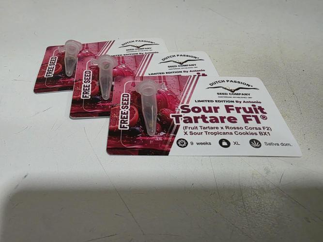 Sour fruit tartare. Week 0