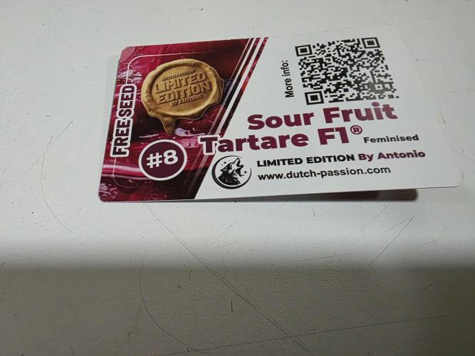 Sour fruit tartare. Week 0