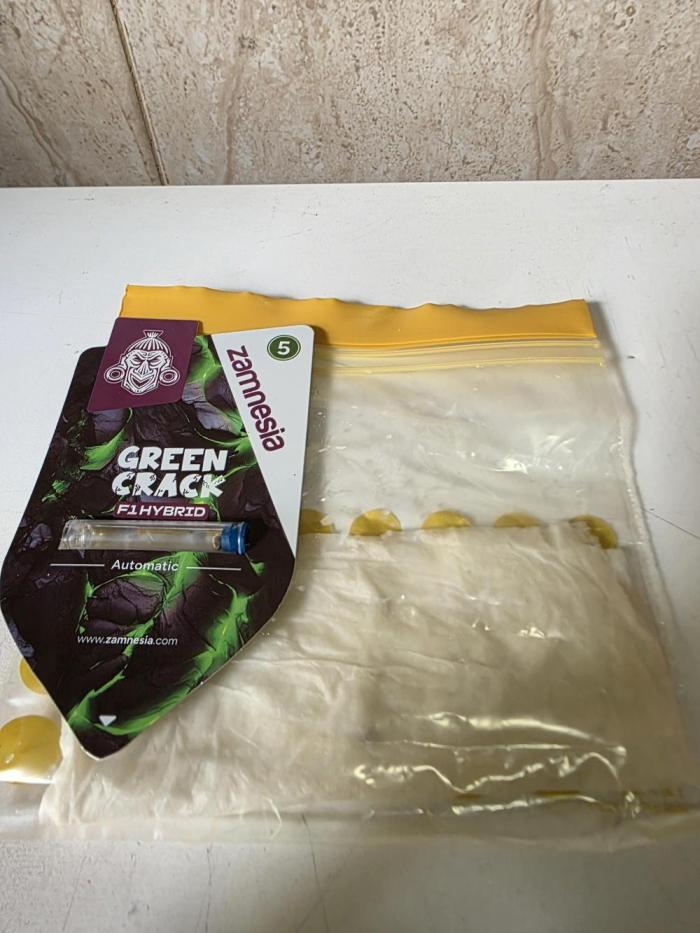 [2nd run] Green Crack Automatic. Week 0