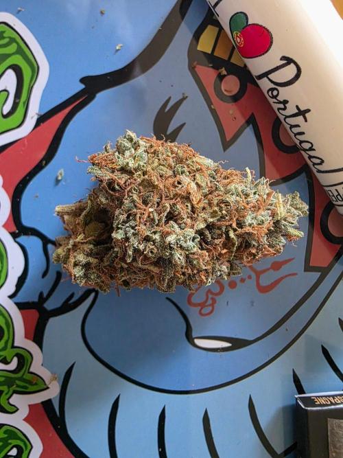 [2nd Run] Sweet Cheese Auto. Week 18