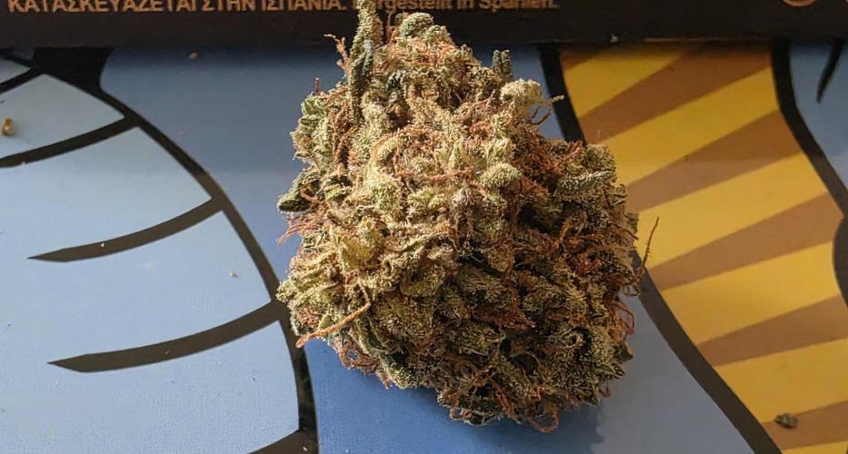 [2nd run] Green Crack Automatic. Week 15