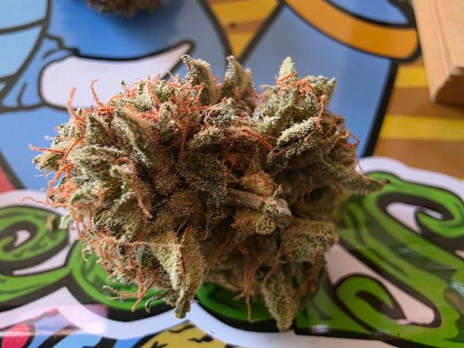 [2nd run] Green Crack Automatic. Week 15