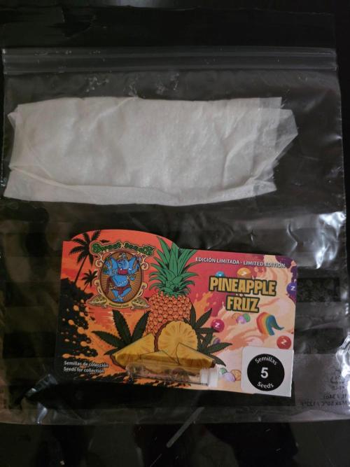 Pineapple Fruz. Week 0