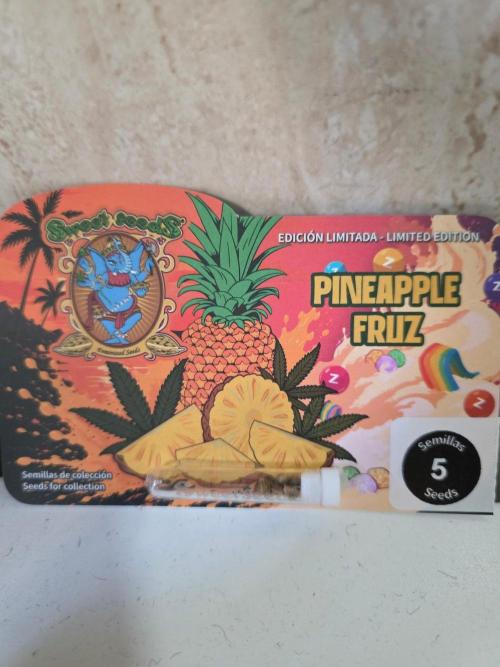 Pineapple Fruz. Week 0