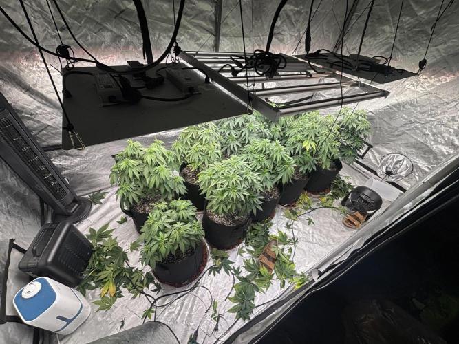 Lebrons Second Grow. Week 5 - 3/3