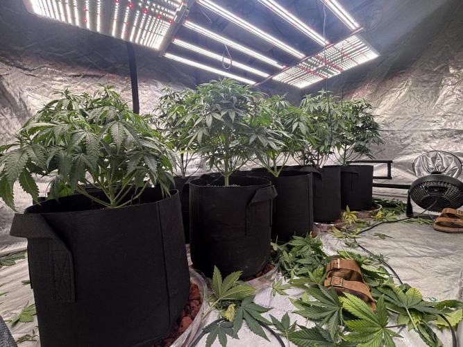 Lebrons Second Grow. Week 5 - 3/3