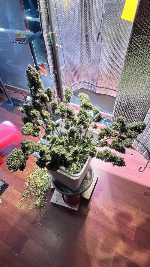 Comenzando otoño.. Week 11