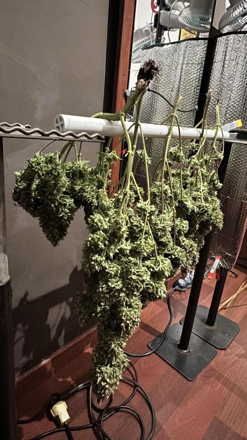 Comenzando otoño.. Week 11