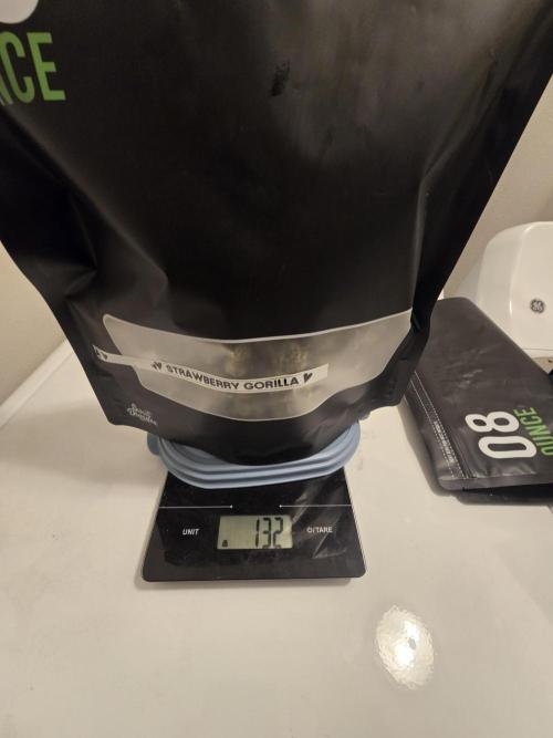 3x3 VS4000 Fastbuds Gorilla autos. Week 12