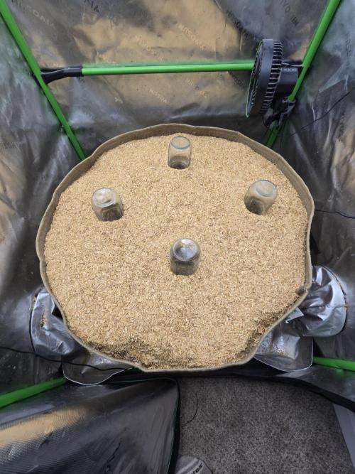 Northern lights (Overkill). Week 0