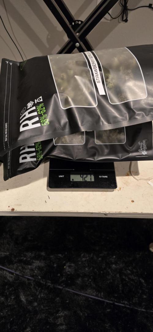 Strawberry gorilla living soil overkill. Week 12