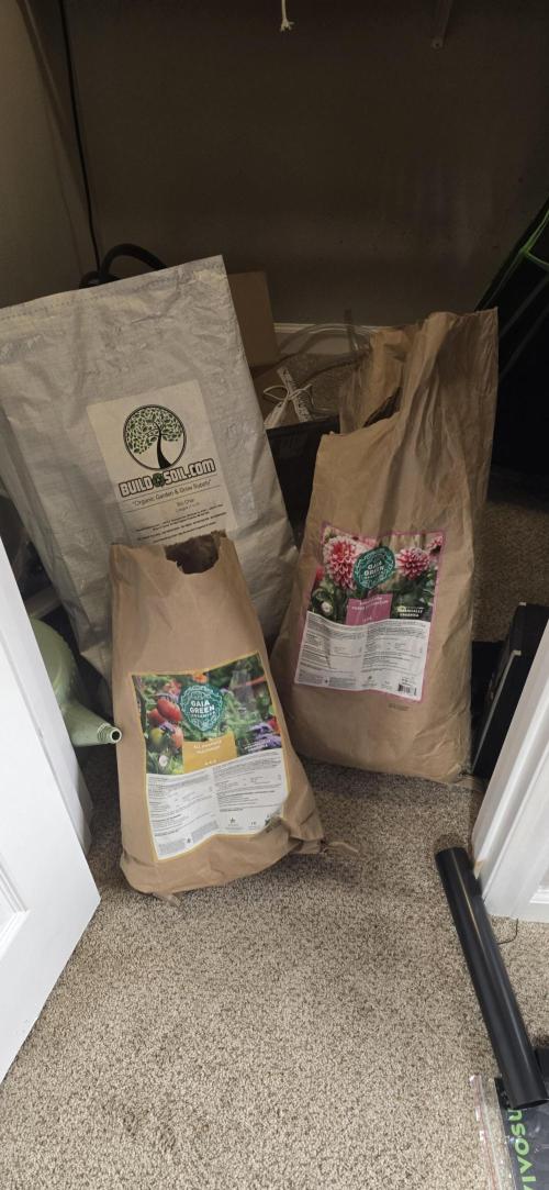 Sweet Cherry Kush Monster LSOK. Week 1