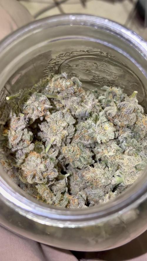 Icing kush #w