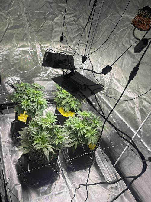 Mix Pack. Week 6