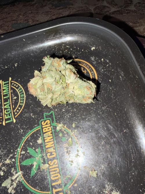 Mix Pack. Week 18