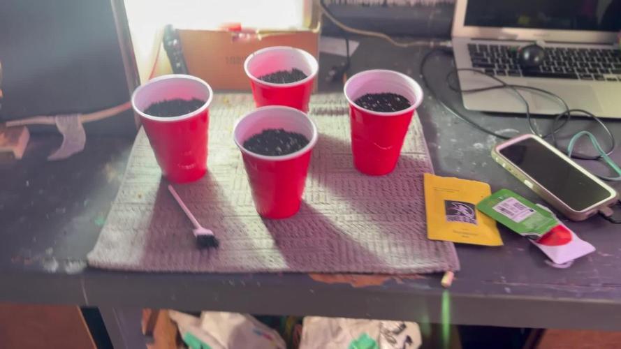 4 Pot Grow #2