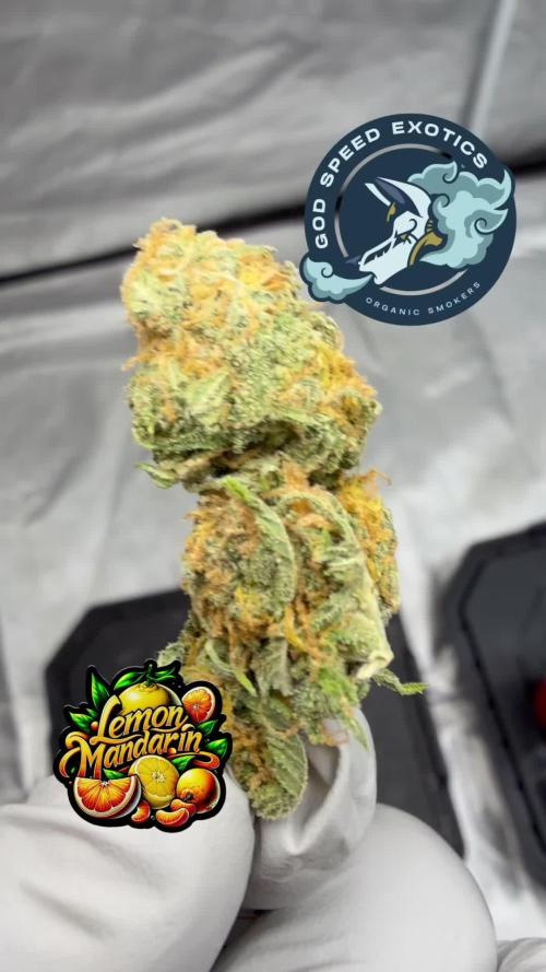 Mix Pack