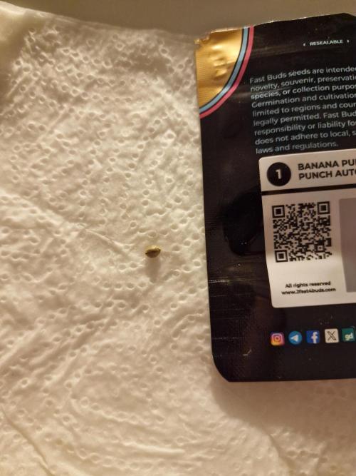 TPB Banana Purple Punch auto. Week 0