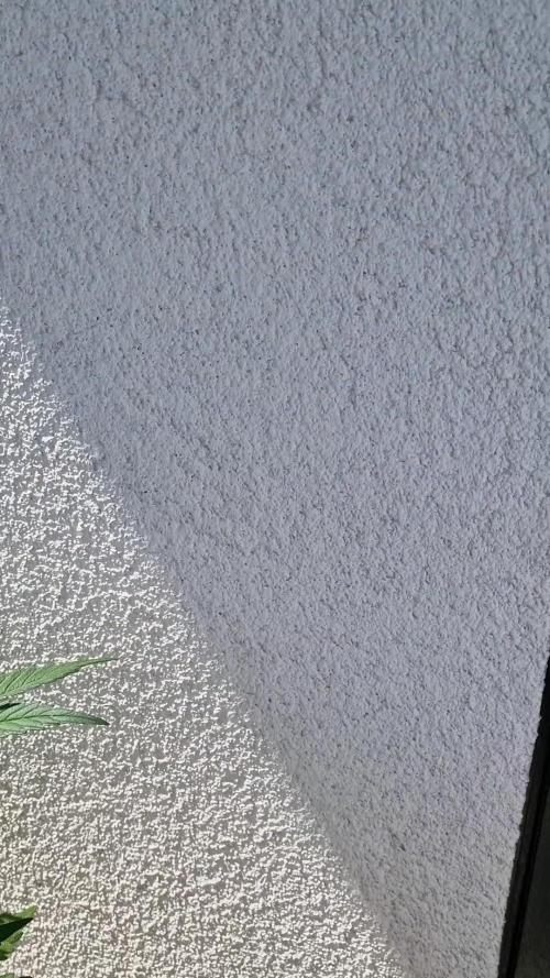 Mendo Frost