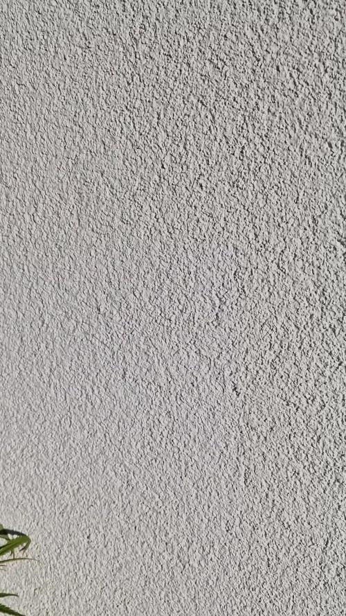 Mendo Frost