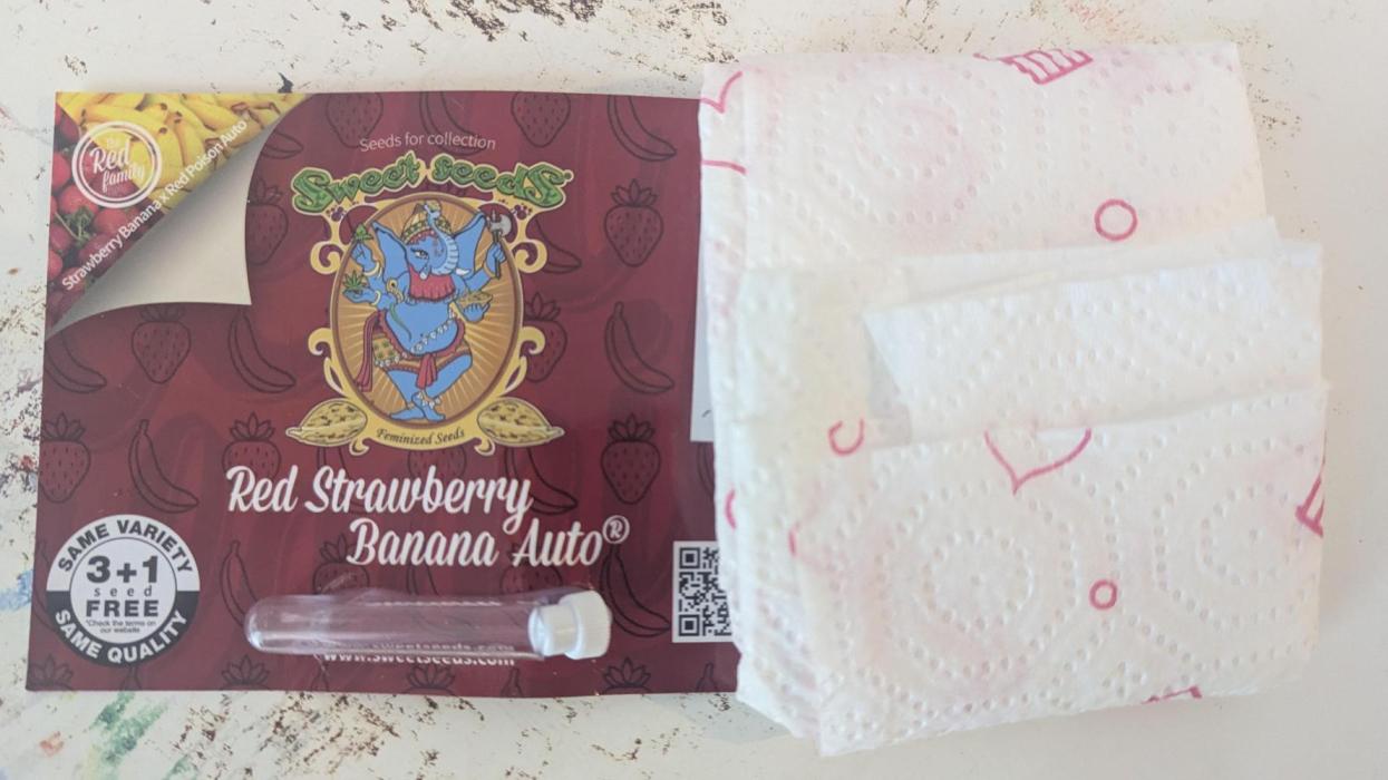 Strawberry banana 40x40x120. Week 0