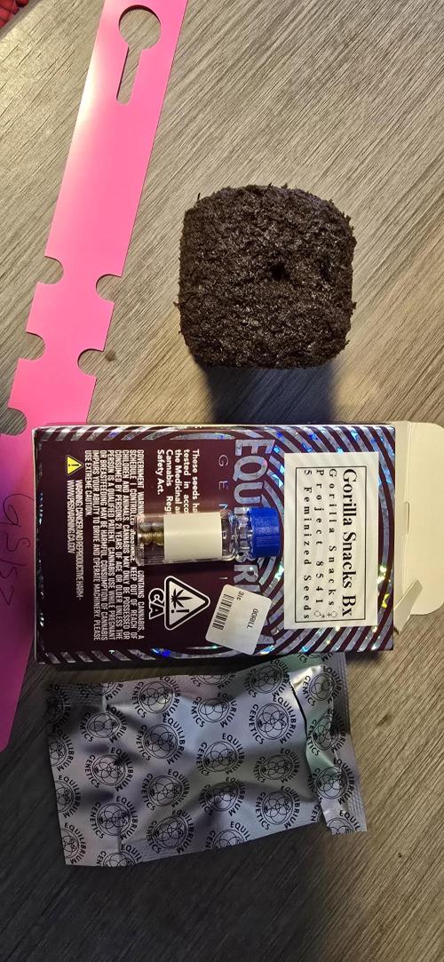 I c purple punch I pop. Week 0 - 12/26