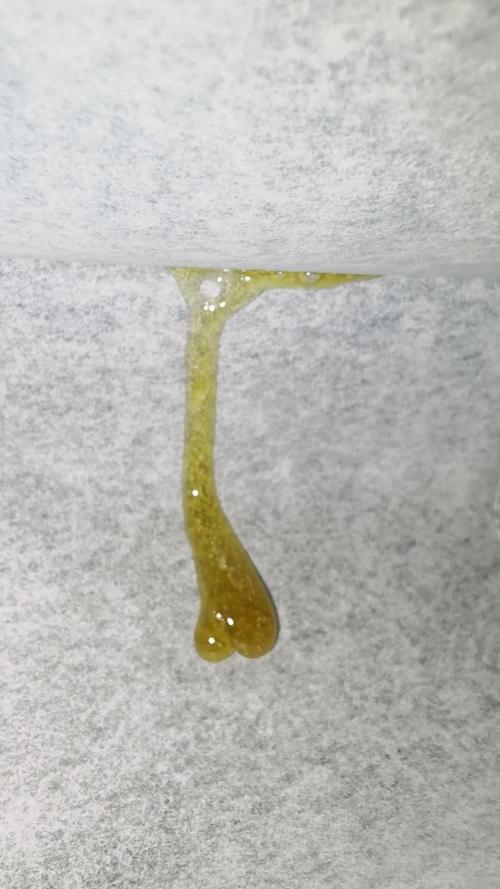 I c purple punch I pop
