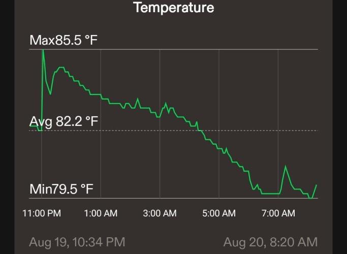 Kiyomi x2. Week 11 - Little temp spike at lights on, nbd. 