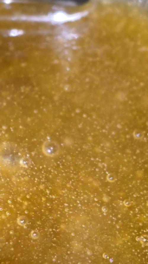 DNA chocolope x2