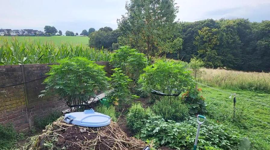 Outdoor Session 25'