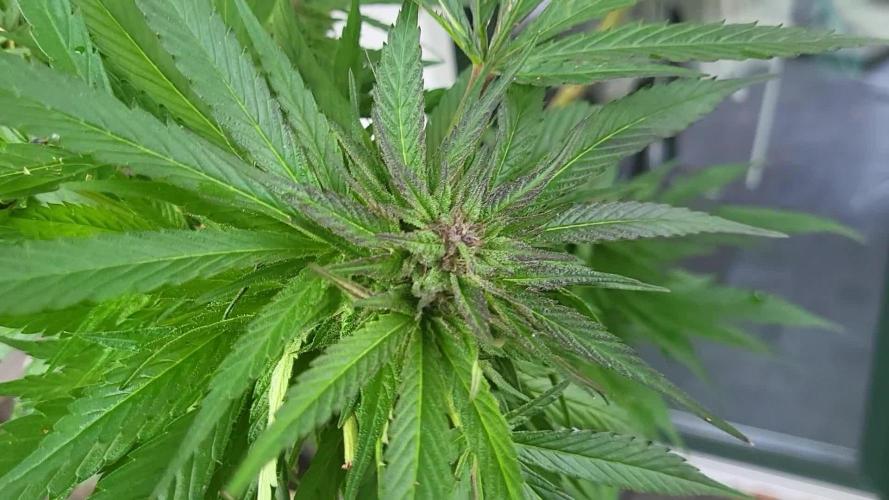 Outdoor Session 25'