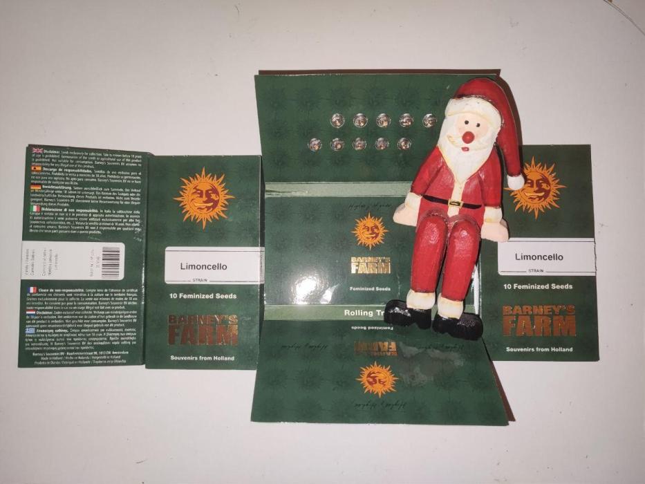 Limoncello Barneys's Farm. Week 0