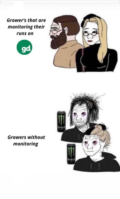 Fast Buds BPP AF-LIVING SOIL. Week 6