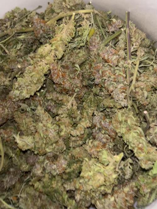 Fast Buds BPP AF-LIVING SOIL